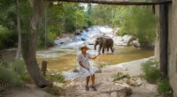 Woman on swing by river with elephant at Chiang Mai sanctuary.